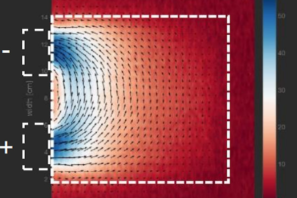 Magnetic Field Imaging